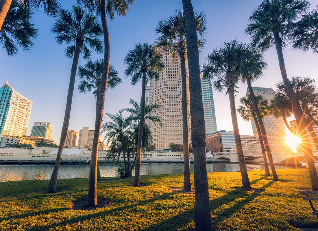 Contact - View From a Park by the Bay with Palm Trees of Downtown Tampa Florida Commercial Buildings Against a Clear Sky at Sunset